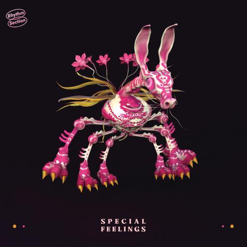 Special Feelings - Brain Fog