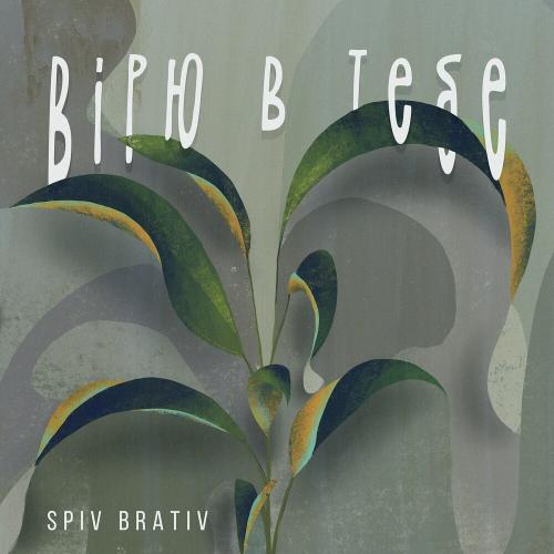 Вірю В Тебе - Spiv Brativ