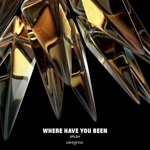 Where Have You Been - SPLSH