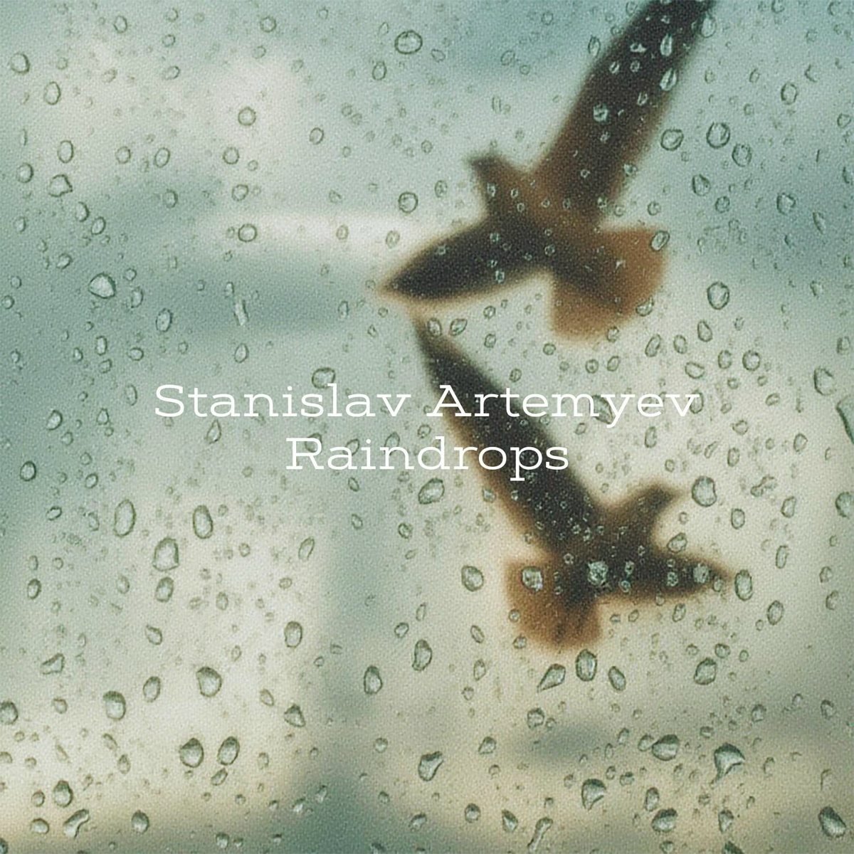 Raindrops - Stanislav Artemyev
