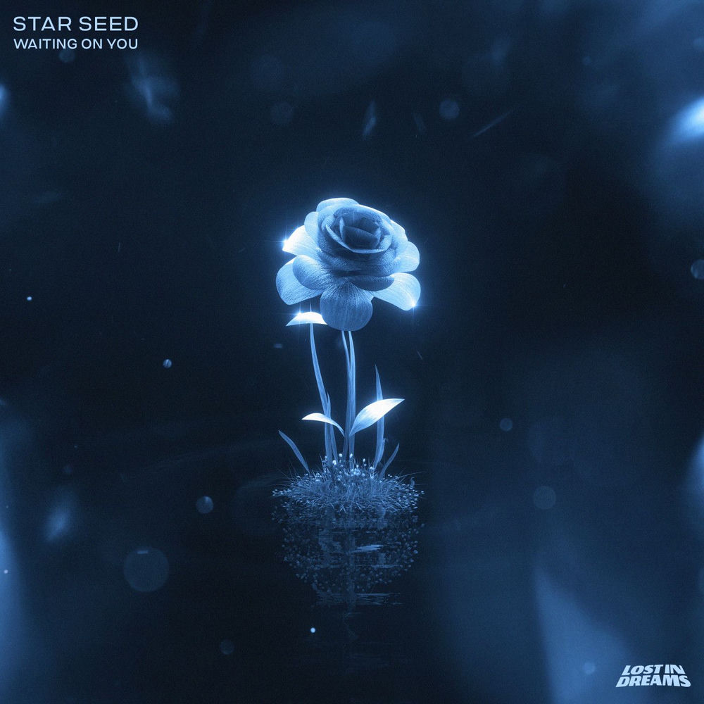 STAR SEED - Waiting On You