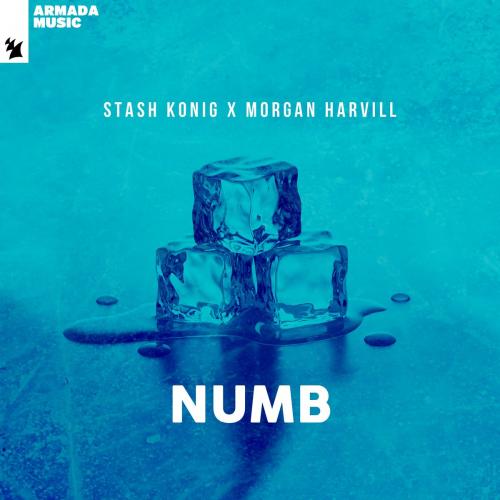 Stash Konig feat. Morgan Harvill - Numb