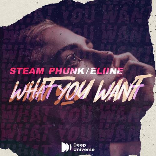 Steam Phunk & Eliine - What You Want