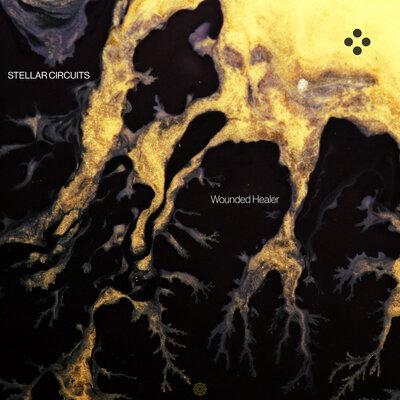 Wounded Healer - Stellar Circuits