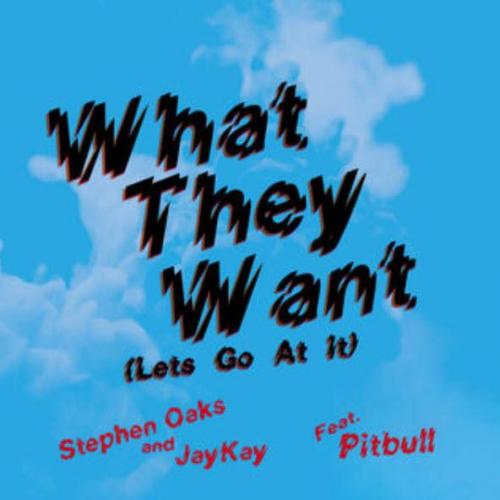 Stephen Oaks & JayKay feat. Pitbull - What They Want (Lets Go At It)