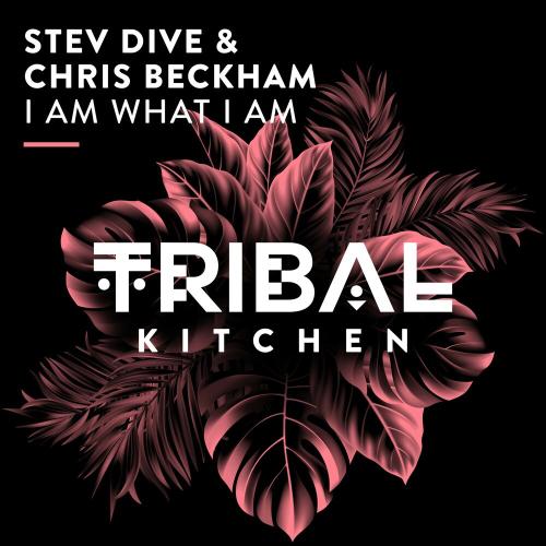 Stev Dive, Chris Beckham - I Am What I Am