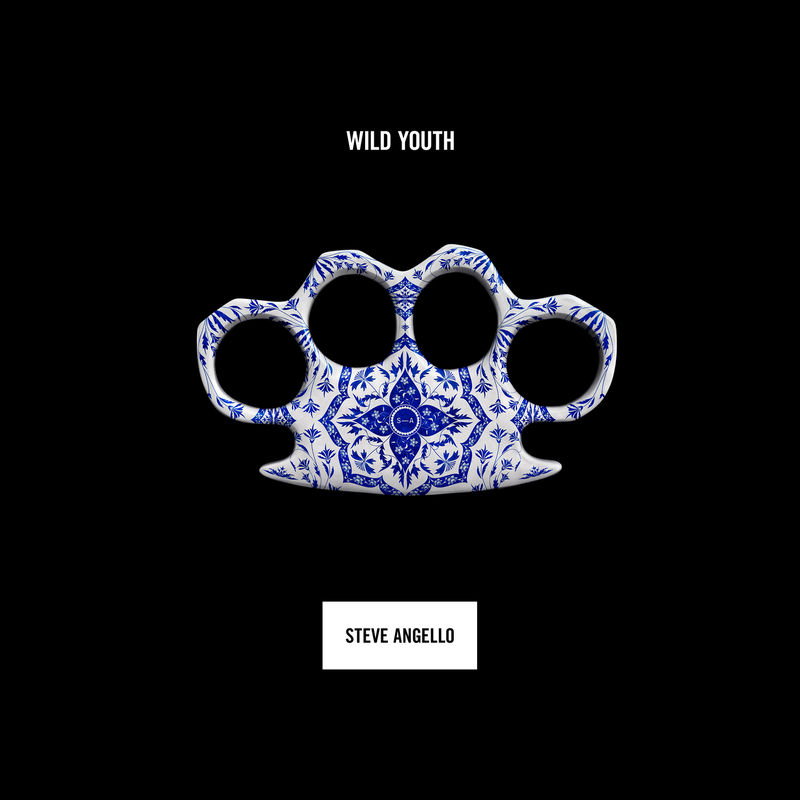Tiger - Steve Angello