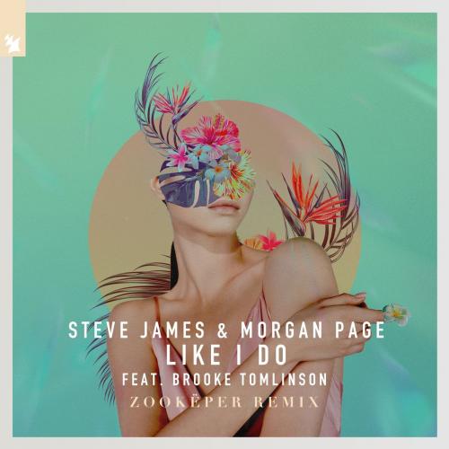Steve James & Morgan Page feat. Brooke Tomlinson - Like I Do