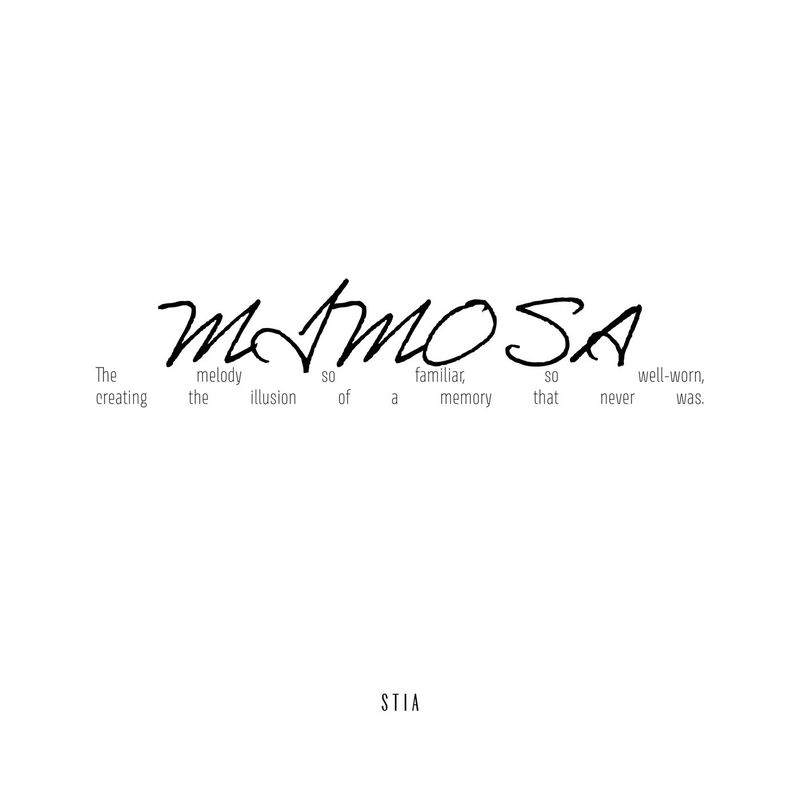 Mimosa - Stia