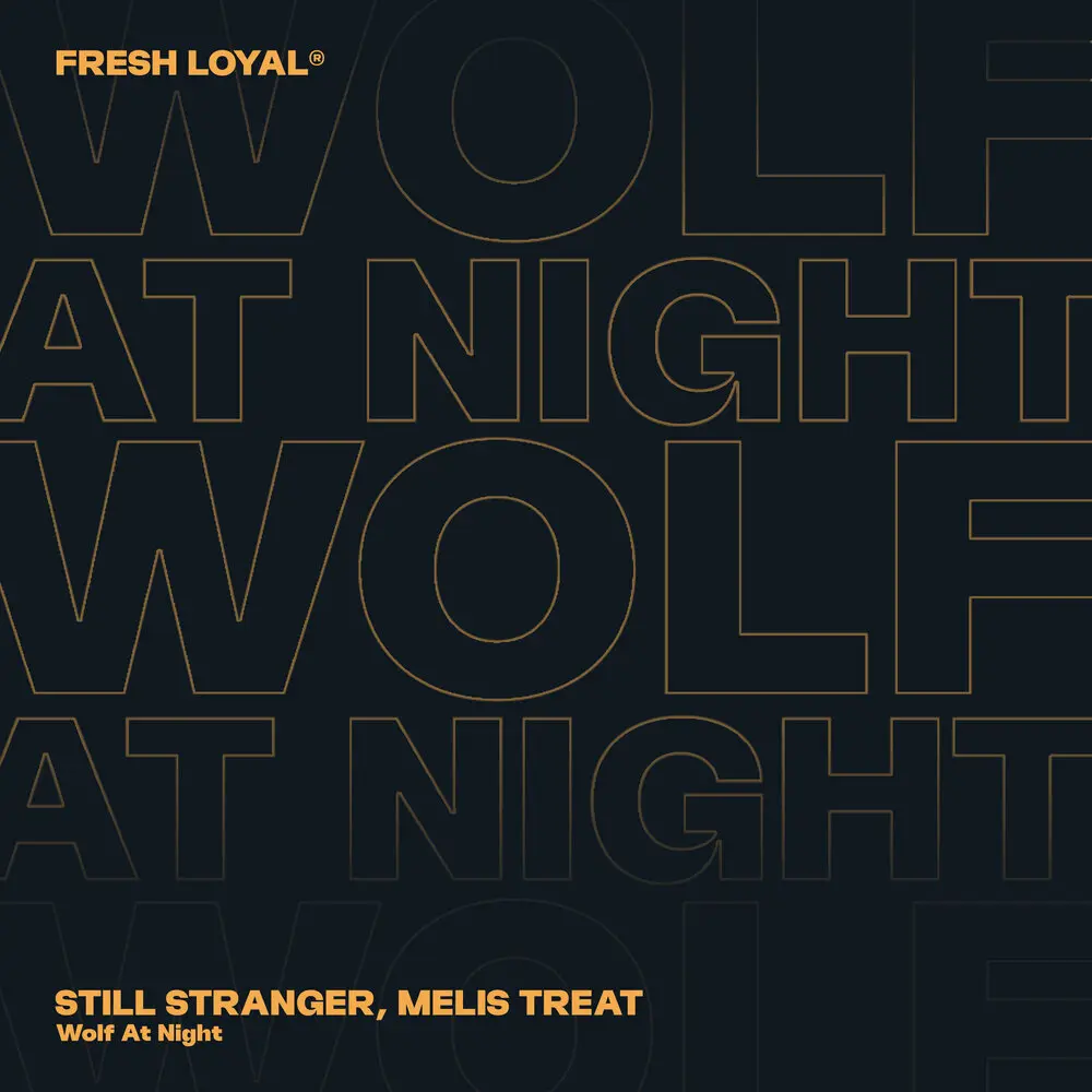 Wolf at Night - Still Stranger, Melis Treat