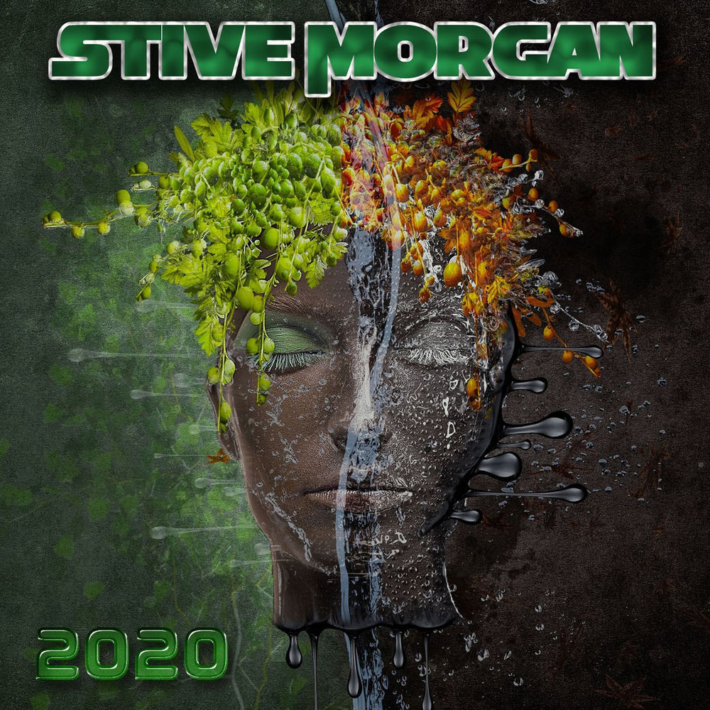 Hover Above The Ground - Stive Morgan