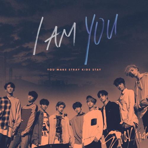 Stray Kids - NS