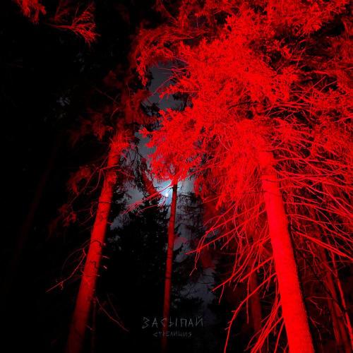 Стрелиция - засыпай