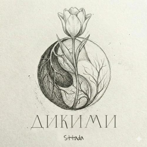 sttada - Дикими