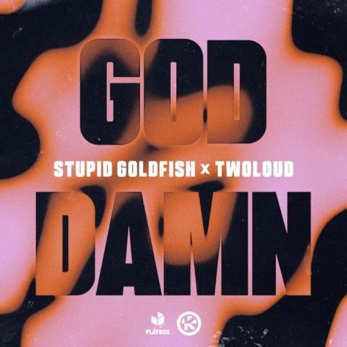 Stupid Goldfish & TWOLOUD - God Damn