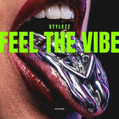 Stylezz - Feel The Vibe Extended Mix