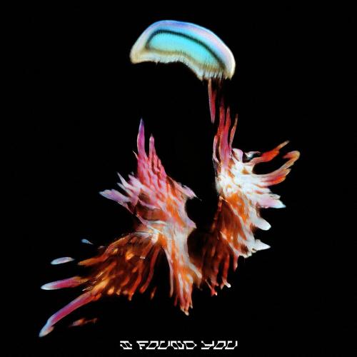 Sub Focus feat. Hayla - I Found You (Grafix Remix)