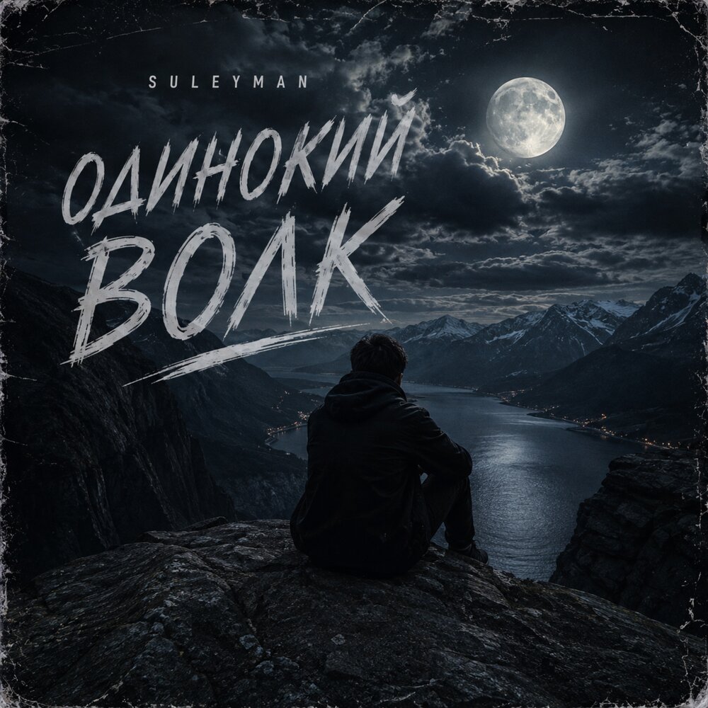 Одинокий волк - SULEYMAN