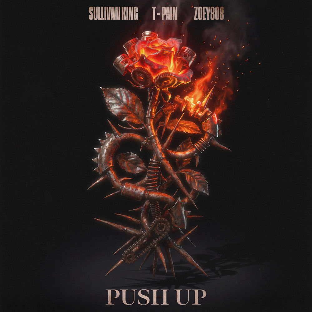 Sullivan King, T-Pain & Zoey808 - Push Up