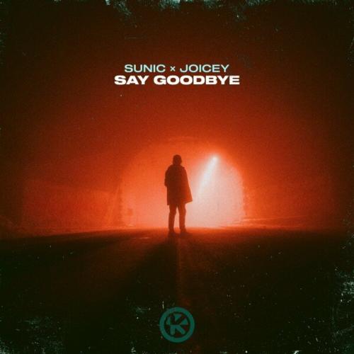 Sunic feat. Joicey - Say Goodbye