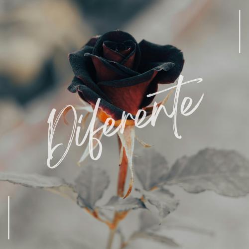 Suprafive, Nikøwhy - Diferente