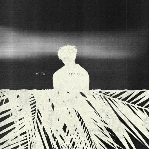 Surf Mesa - It's You (C'est Toi)