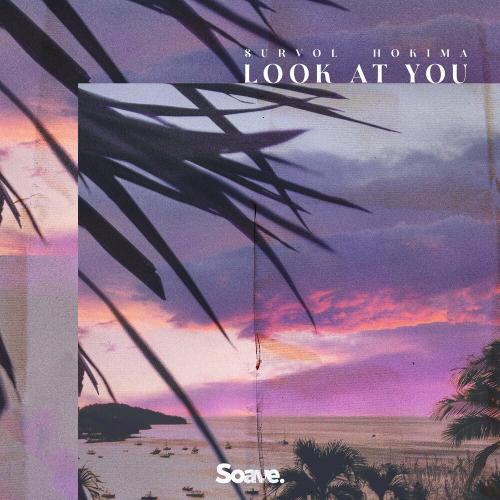 Survol & Hokima - Look At You