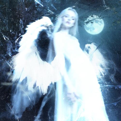 svdturn - LATUM