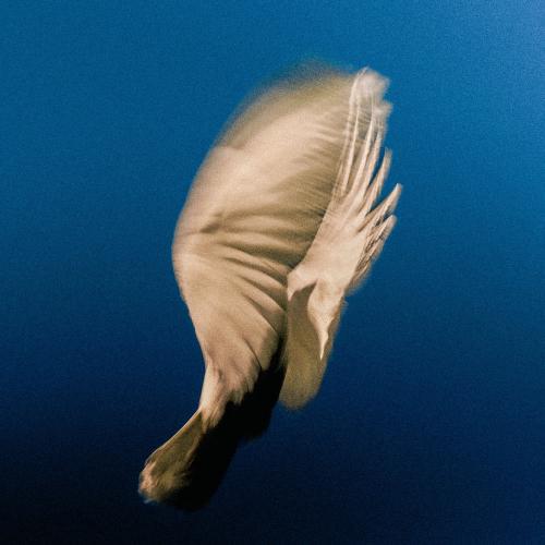 Swim & Ova Looven - Memories