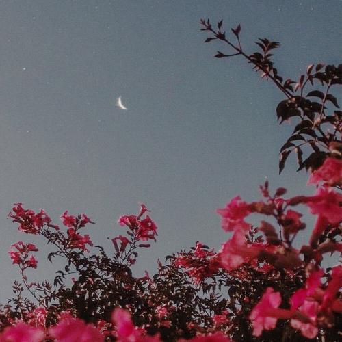 SXULTAPE VISION - SUMMER