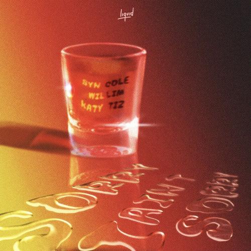 Syn Cole feat. Willim x Katy Tiz - Sorry I Aint Sorry