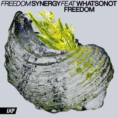 Synergy feat. What So Not - Freedom