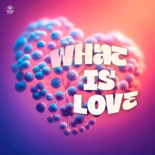SYNFLO, Niki Four - What Is Love