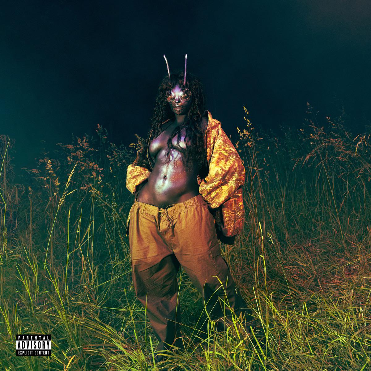 Used (feat. Don Toliver) - SZA