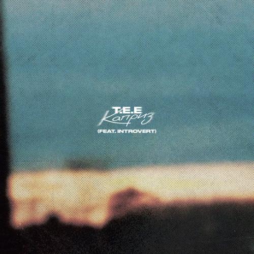 T.E.E. & IntroVert - Каприз