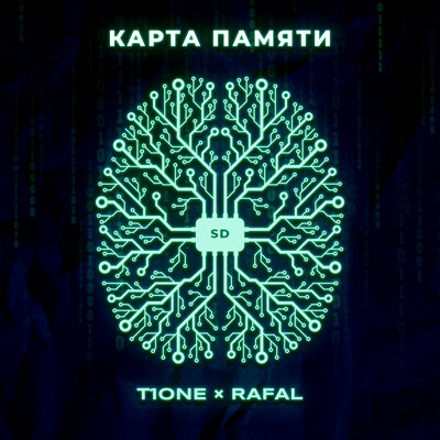 Карта памяти - T1One, RAFAL