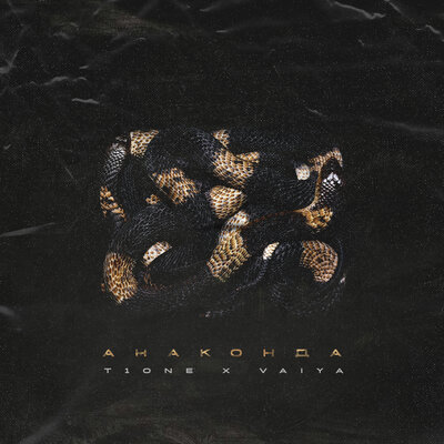 Анаконда (prod. by TR1PllX beats) - T1One, VAIYA