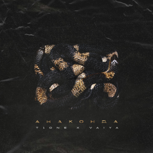 Анаконда - T1ONE & Vaiya