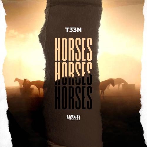 T33N - Horses