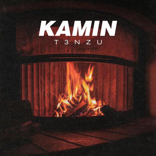 T3NZU - Kamin