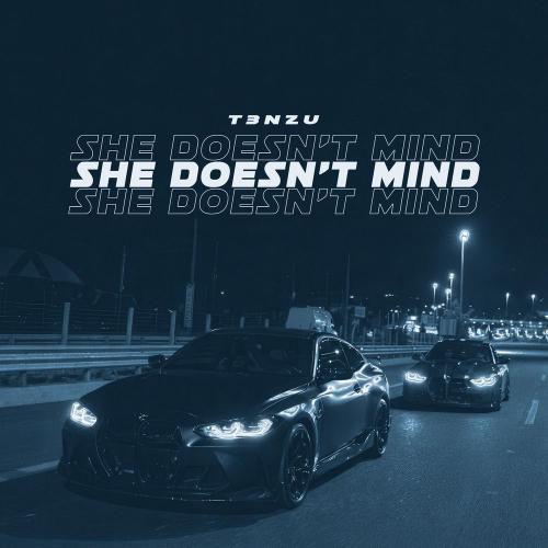 T3NZU - She Doesn't Mind