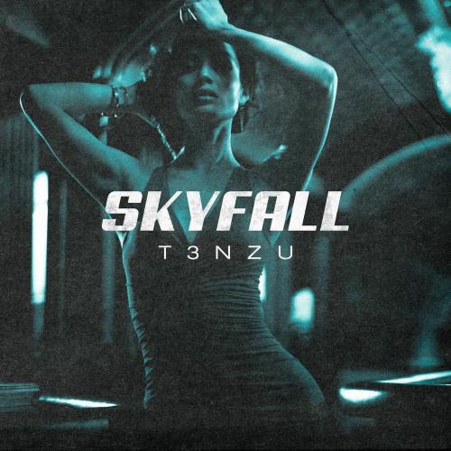 T3NZU - Skyfall