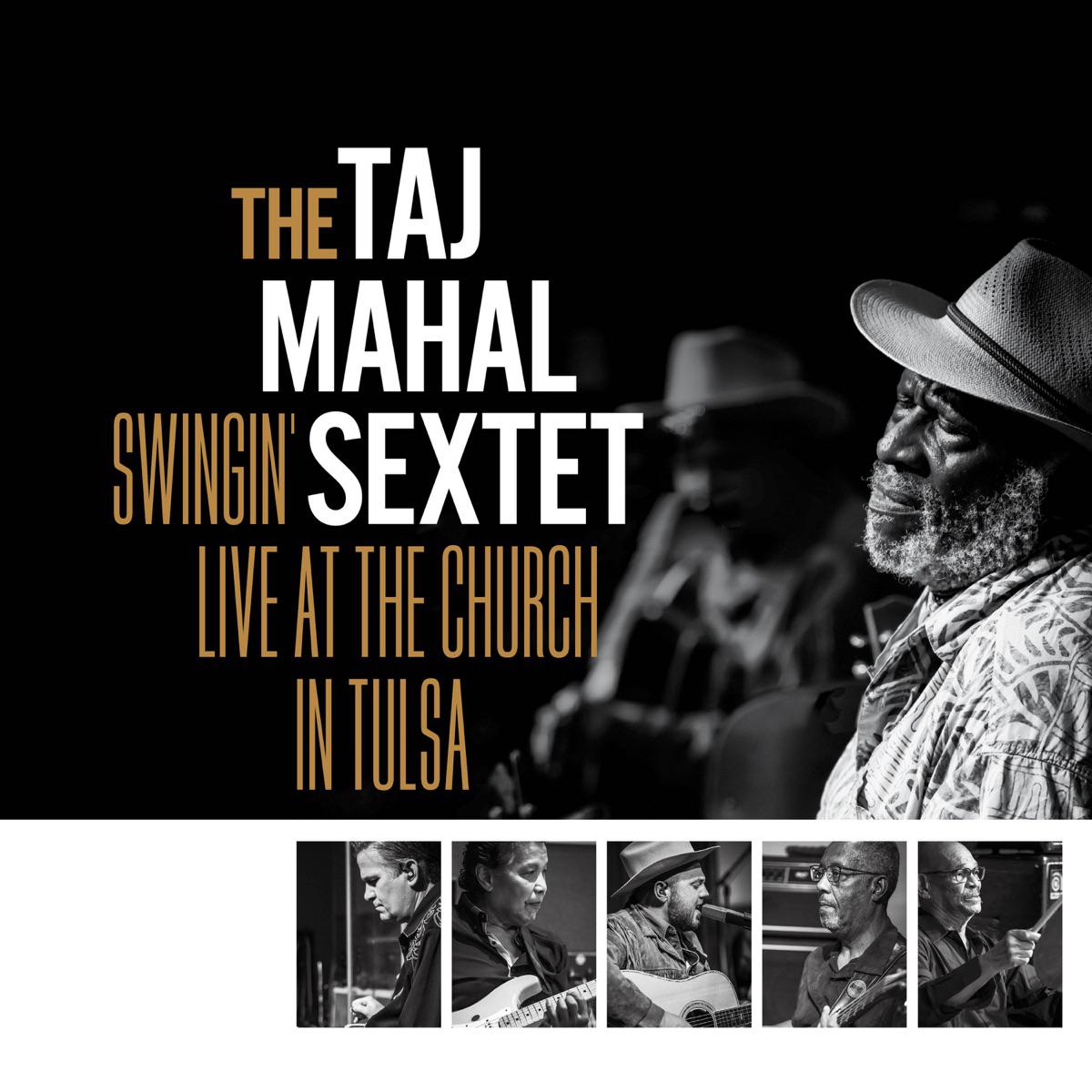 Queen Bee - Taj Mahal
