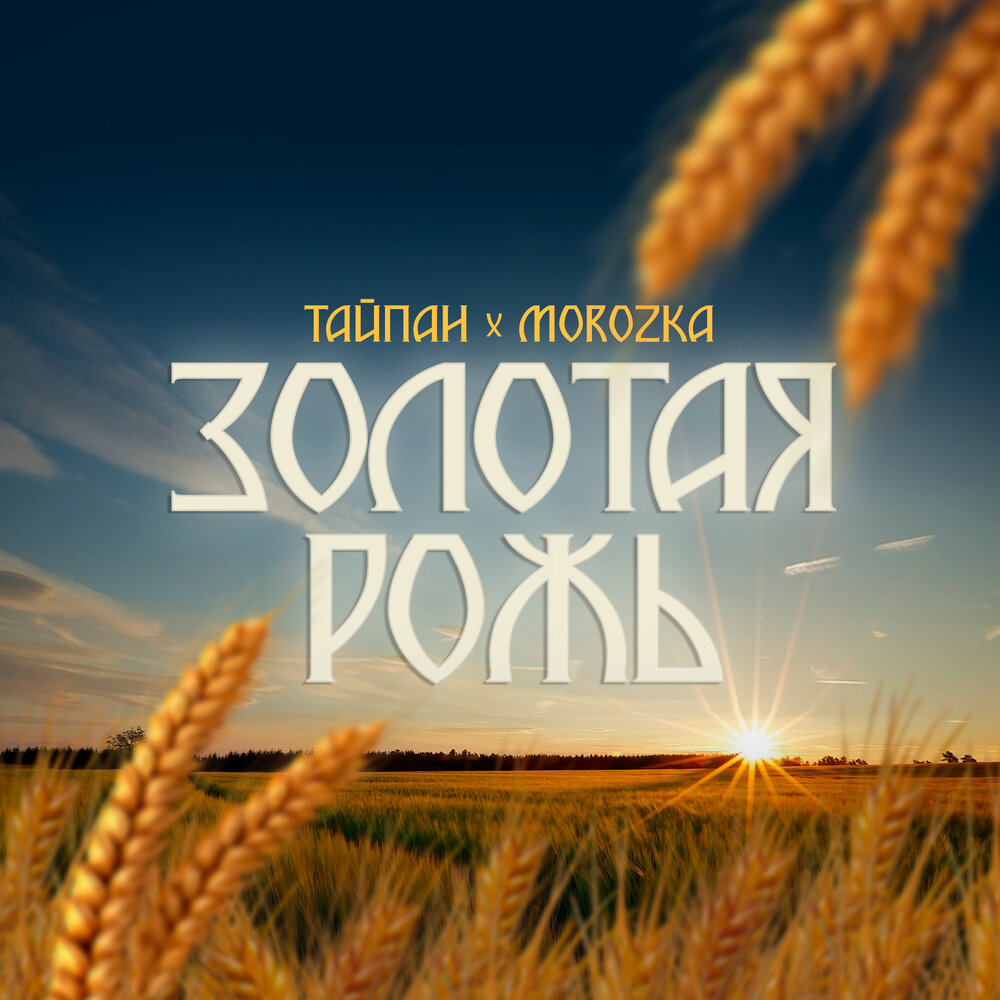 Золотая рожь - Тайпан, MorozKA