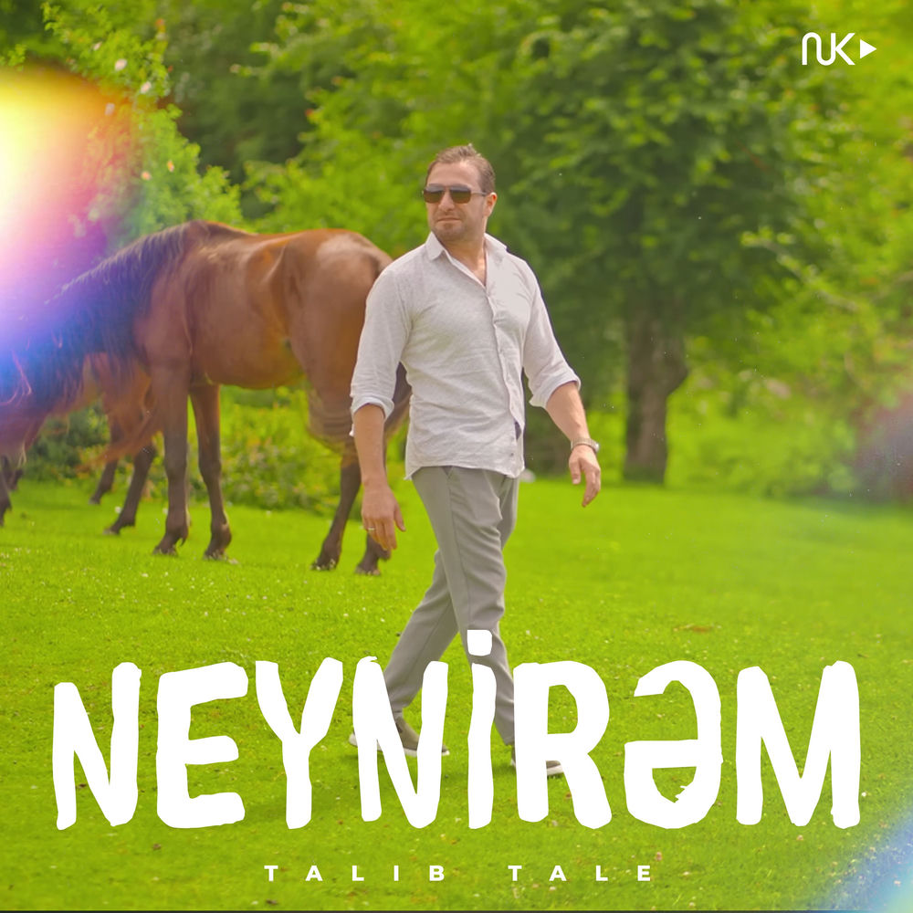 Neynirəm - Talıb Tale