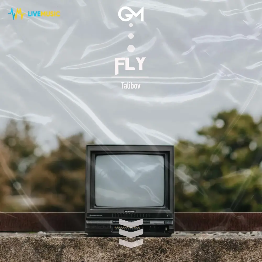 Fly - Talibov