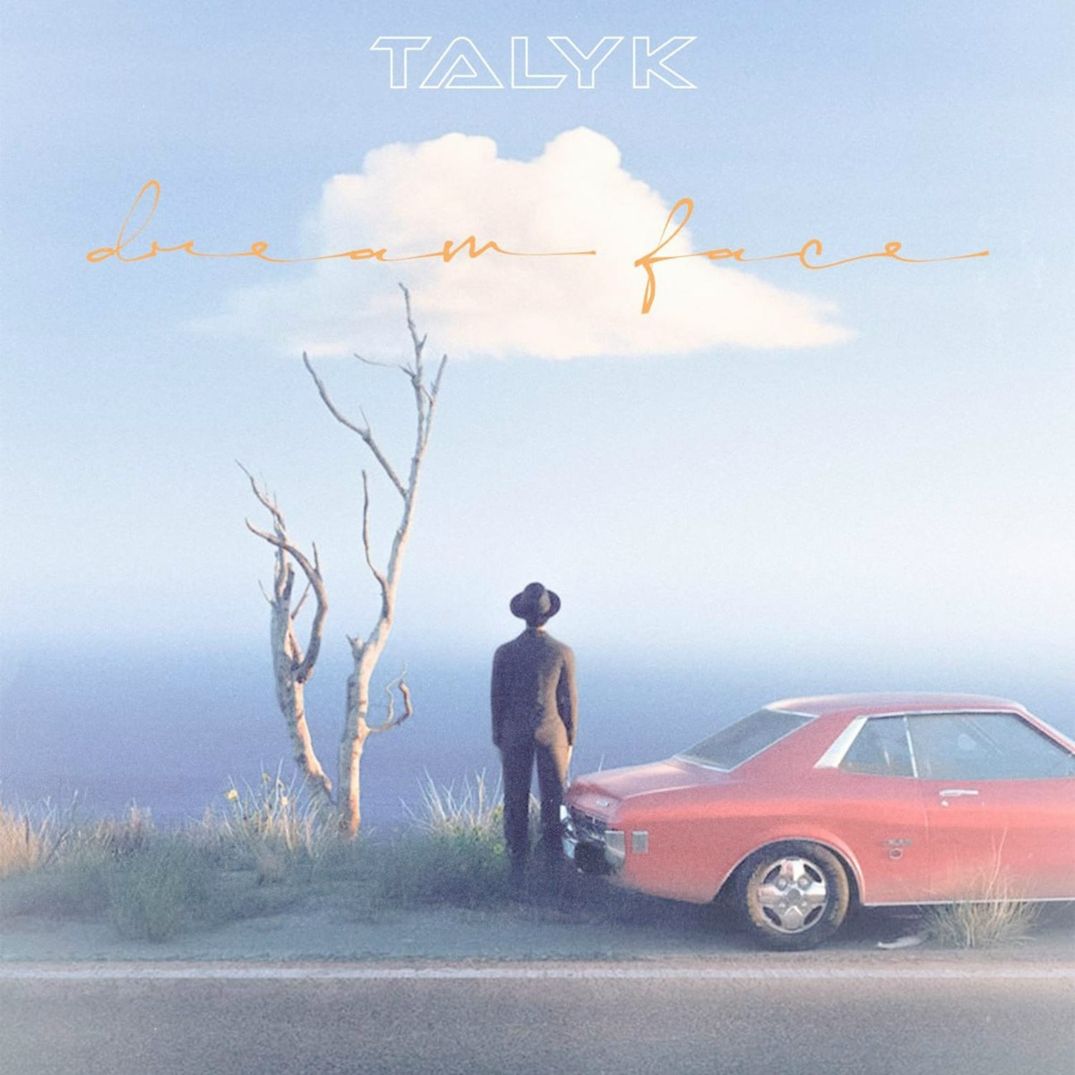 Dream Face - Talyk