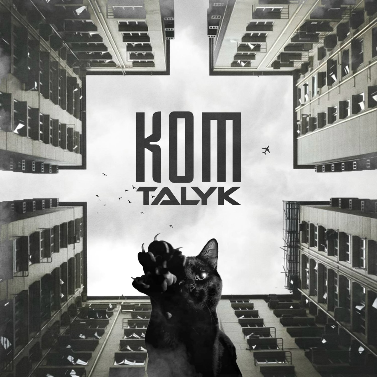 Кот - Talyk