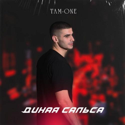 TAM-ONE - Дикая сальса