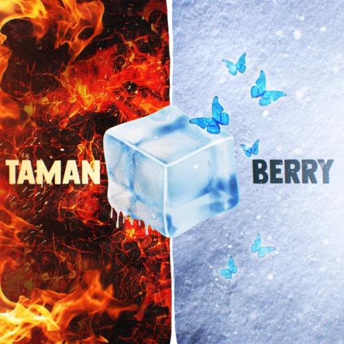 Taman & BERRY - Дискотека 90-х